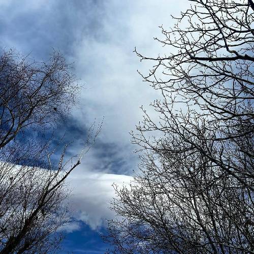 چرا بعد این همه بدو بدو تو آخرشم رسیدی به فرودگاه امام